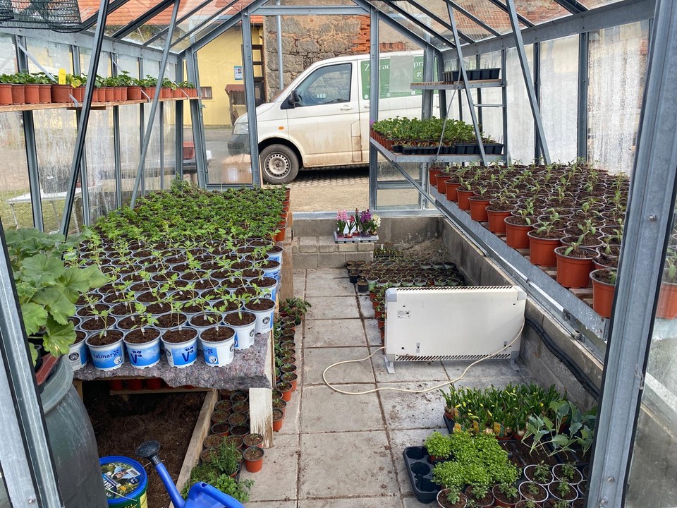 zahradnictvi-louza-jesenice-4