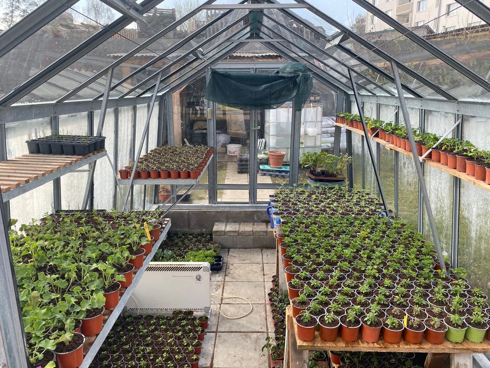 zahradnictvi-louza-jesenice-7